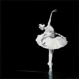 镜子的另一面：纽波特民歌艺术节1963~1965,1963-1965纽波特民歌艺术节回眸